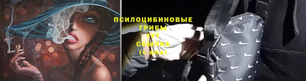 Альфа ПВП Алзамай