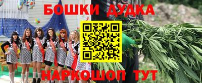 apvp Усть-Илимск