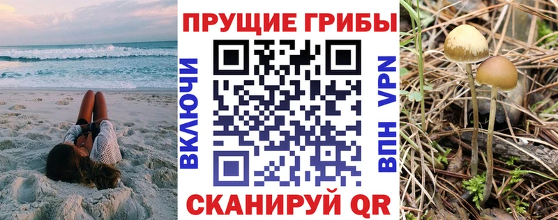 продажа наркотиков  Октябрьский  Галлюциногенные грибы мухоморы 