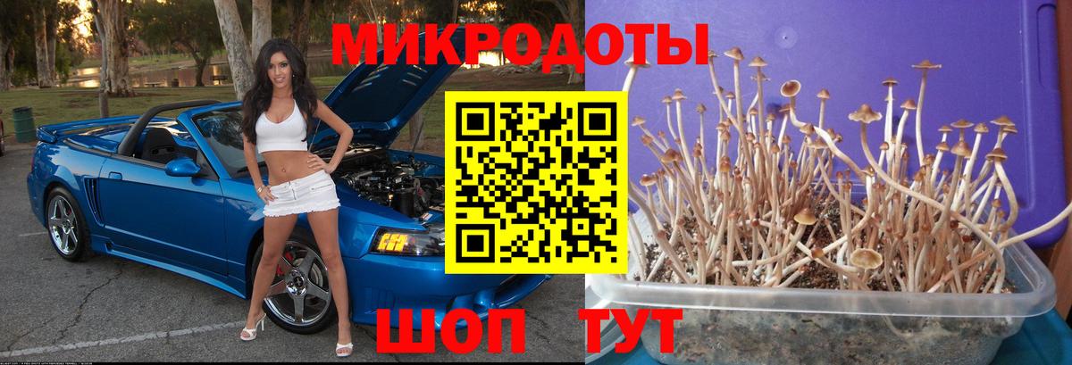 Псилоцибиновые грибы мухоморы Октябрьский