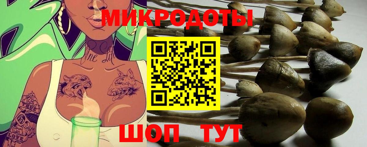 Октябрьский  Псилоцибиновые грибы ЛСД  Вход с VPN  Псилоцибиновые грибы мицелий 